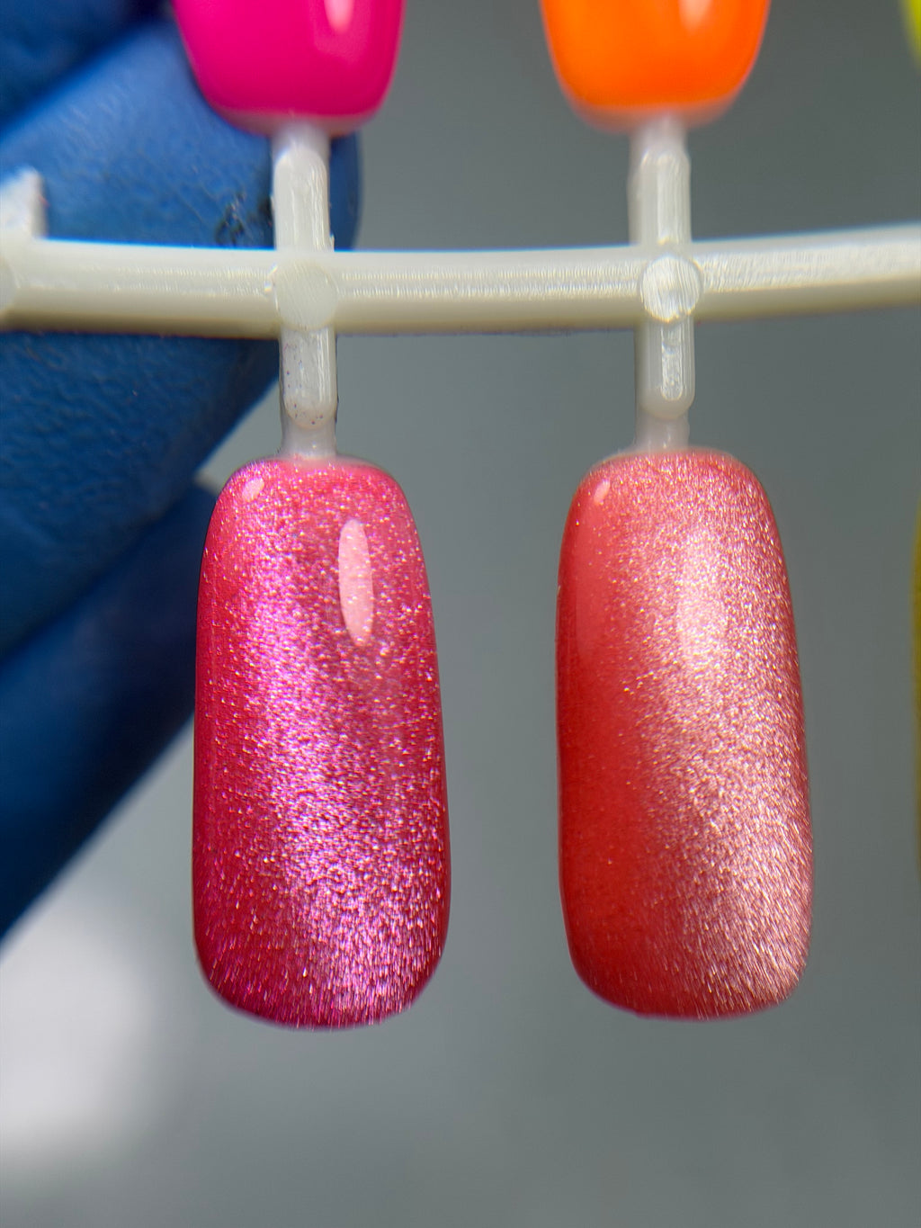 Neon Cat Eye Collection