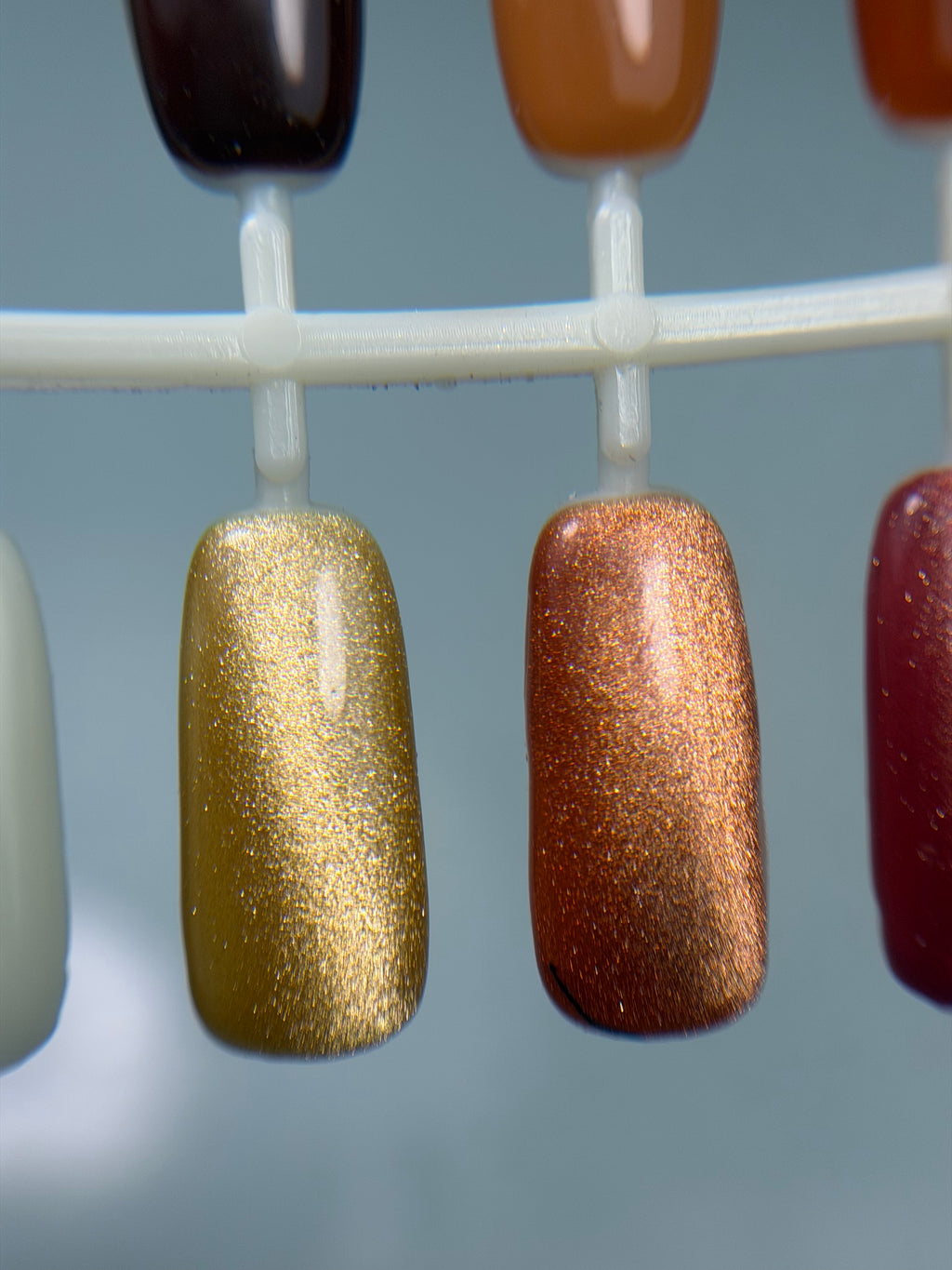 Champagne Collection