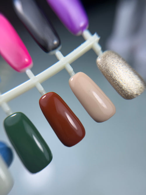 Autumn Glow Collection